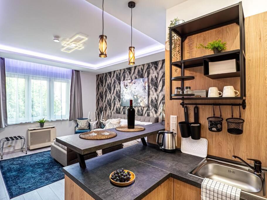 Apartmán Vidra-Lak With Private Parking Budapešť Exteriér fotografie
